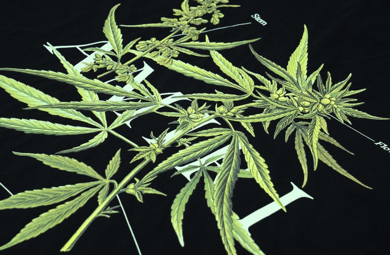 38_95 AMIRI 21ss TEE