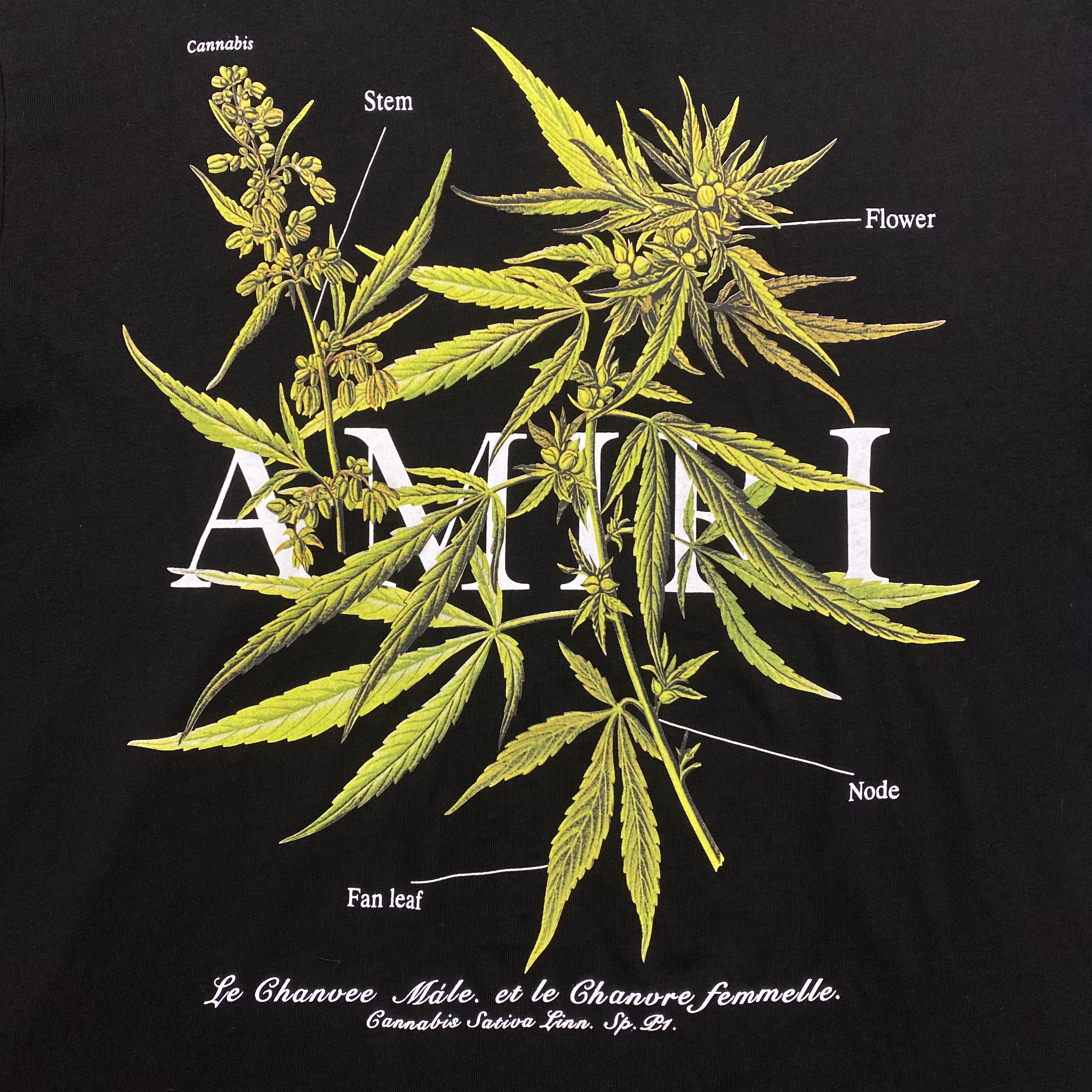 38_95 AMIRI 21ss TEE