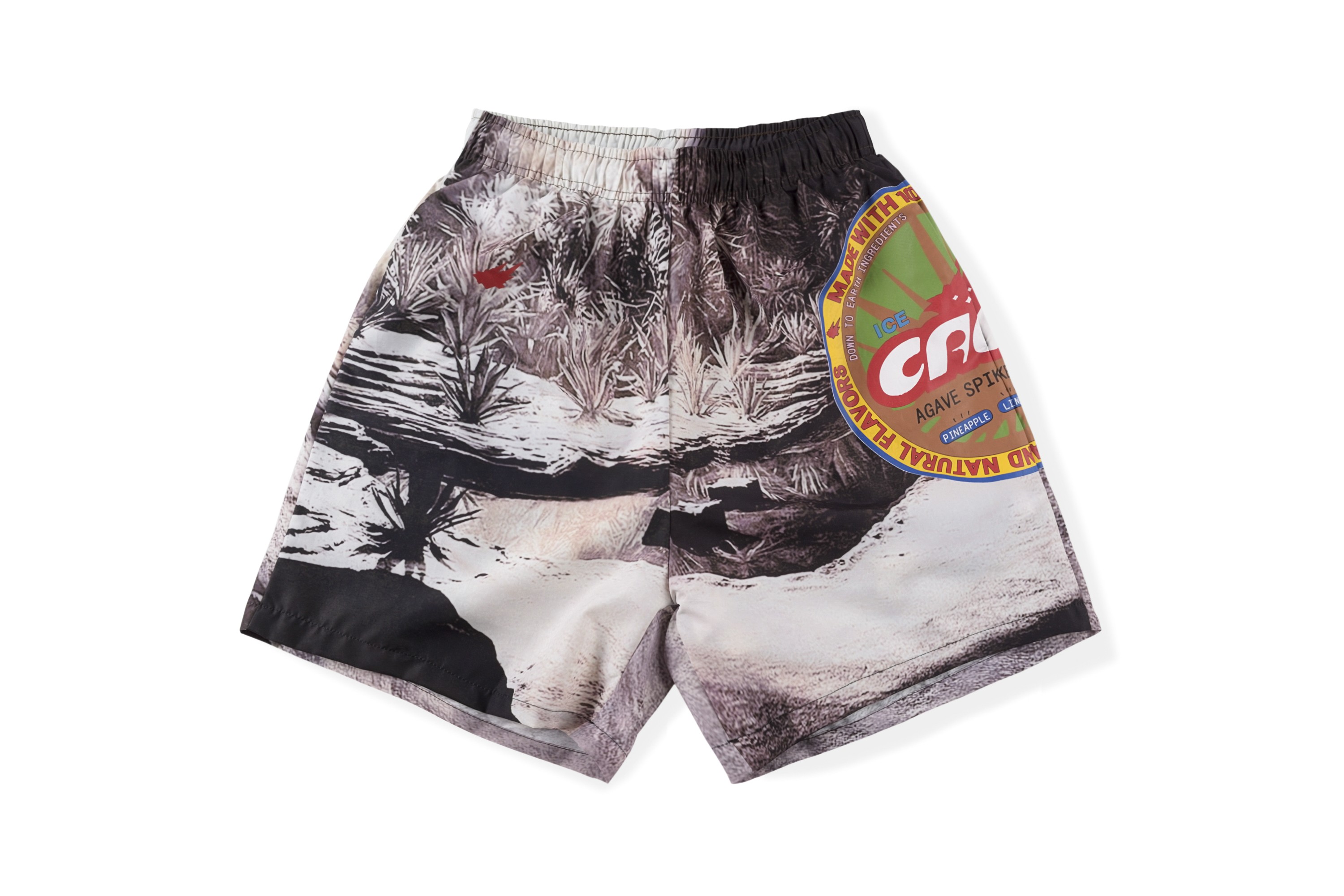 73_198 Travis Scott Shorts