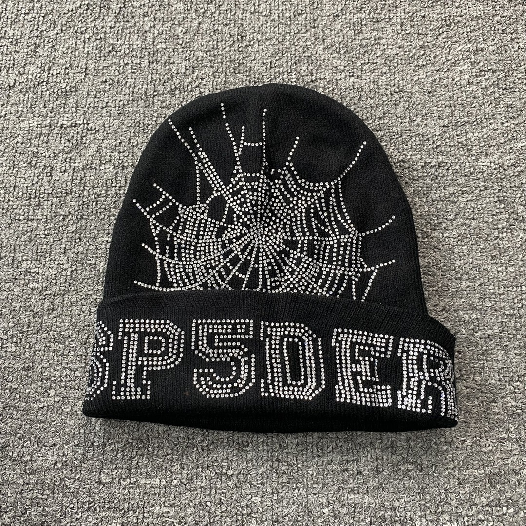 5_100 spider Beanie