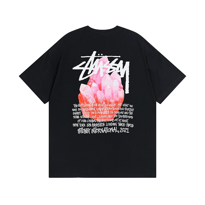 33_Stussy T-shirt
