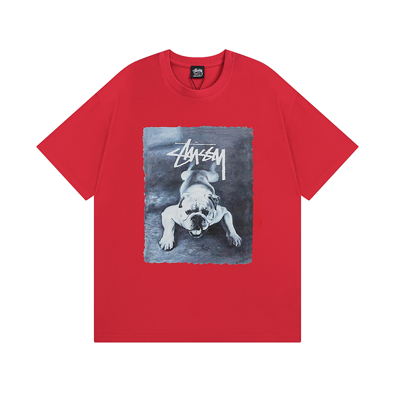 39_Stussy T-shirt