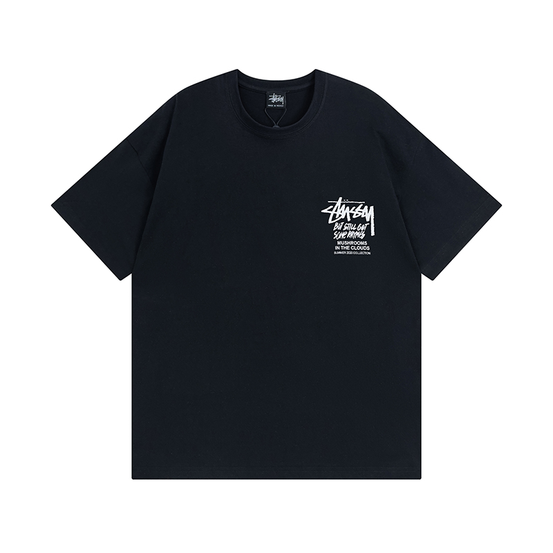 69_Stussy T-shirt