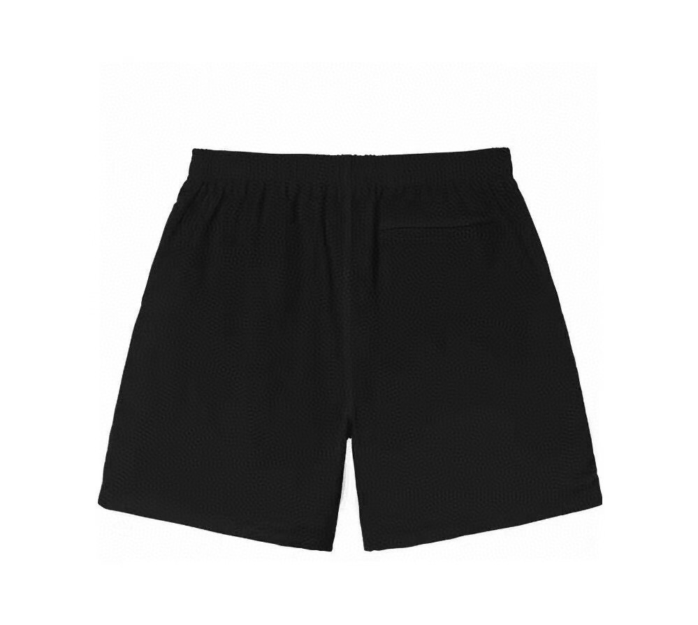 47_Stussy Shorts