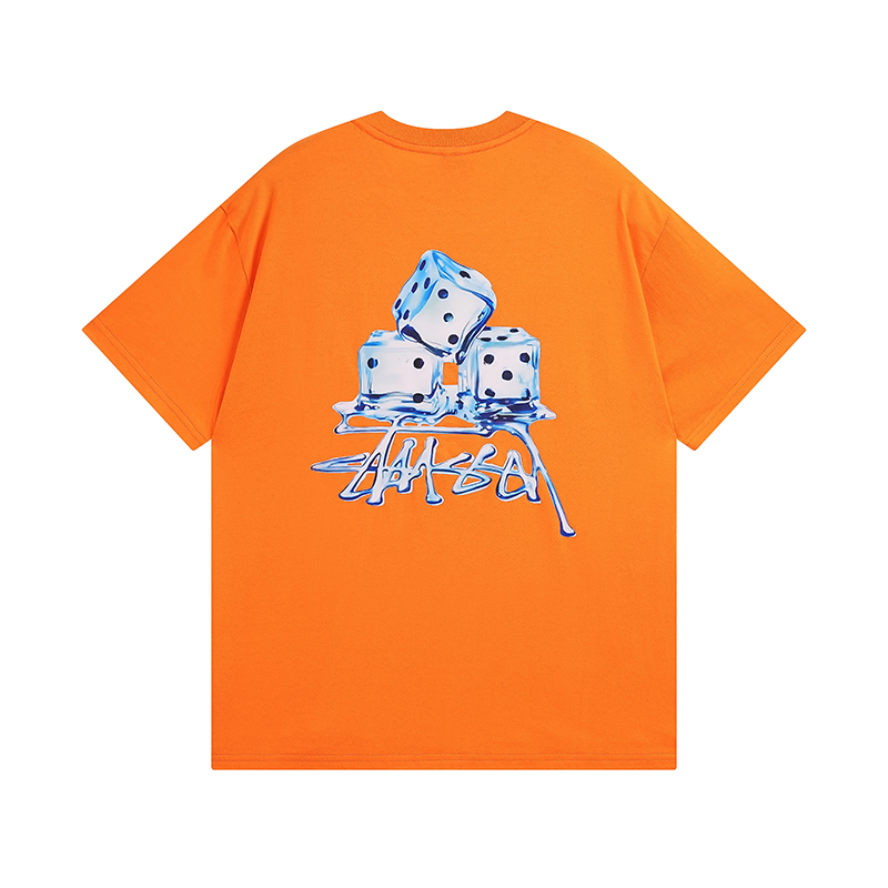 83_Stussy T-shirt