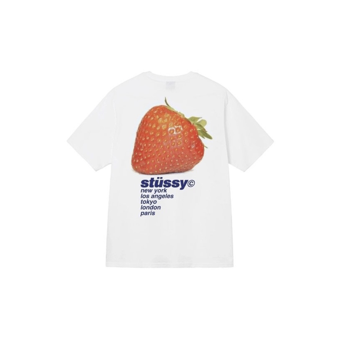 26_Stussy T-shirt