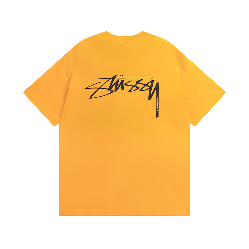 68_Stussy T-shirt