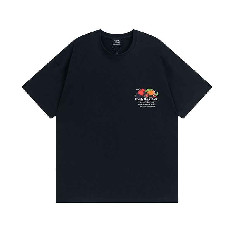 70_Stussy T-shirt