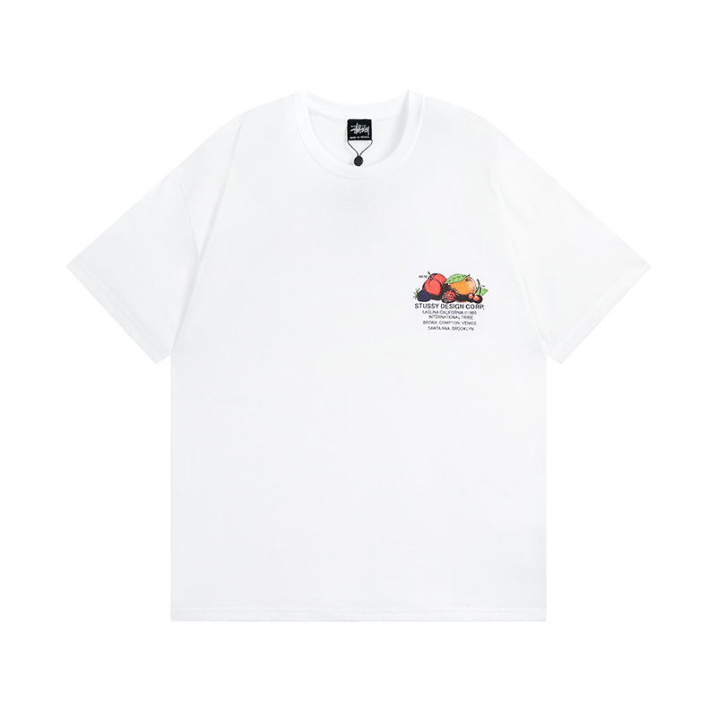 70_Stussy T-shirt