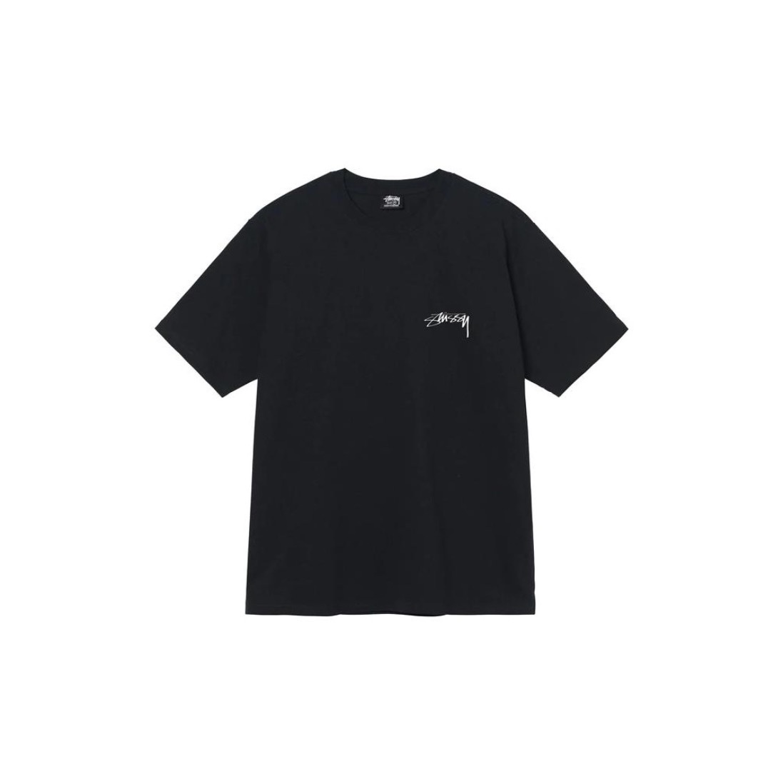 13_Stussy T-shirt