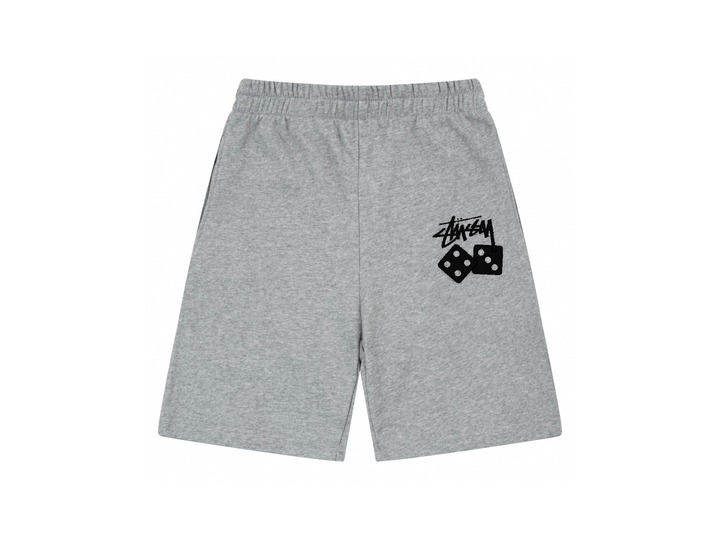 18_Stussy Shorts