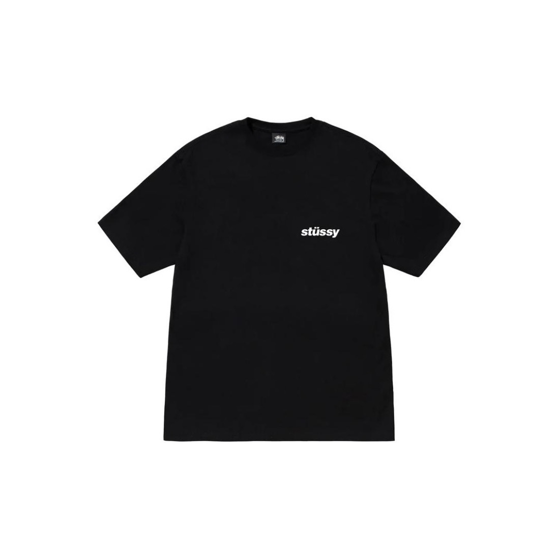 25_Stussy T-shirt