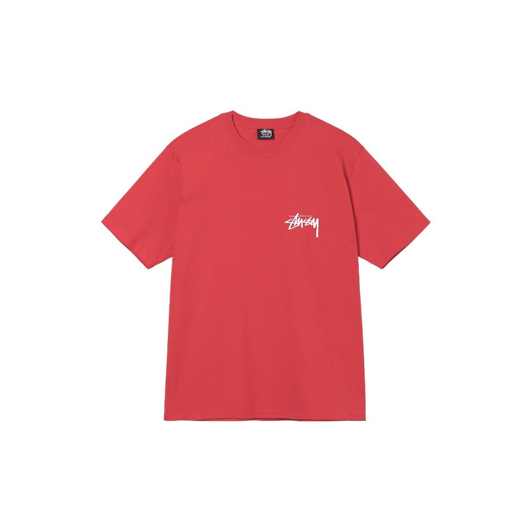 15_Stussy T-shirt